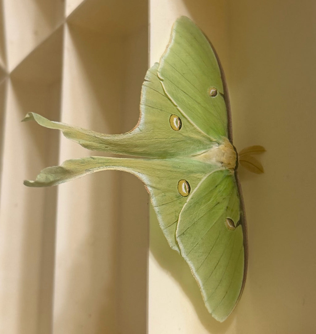 Nature photos