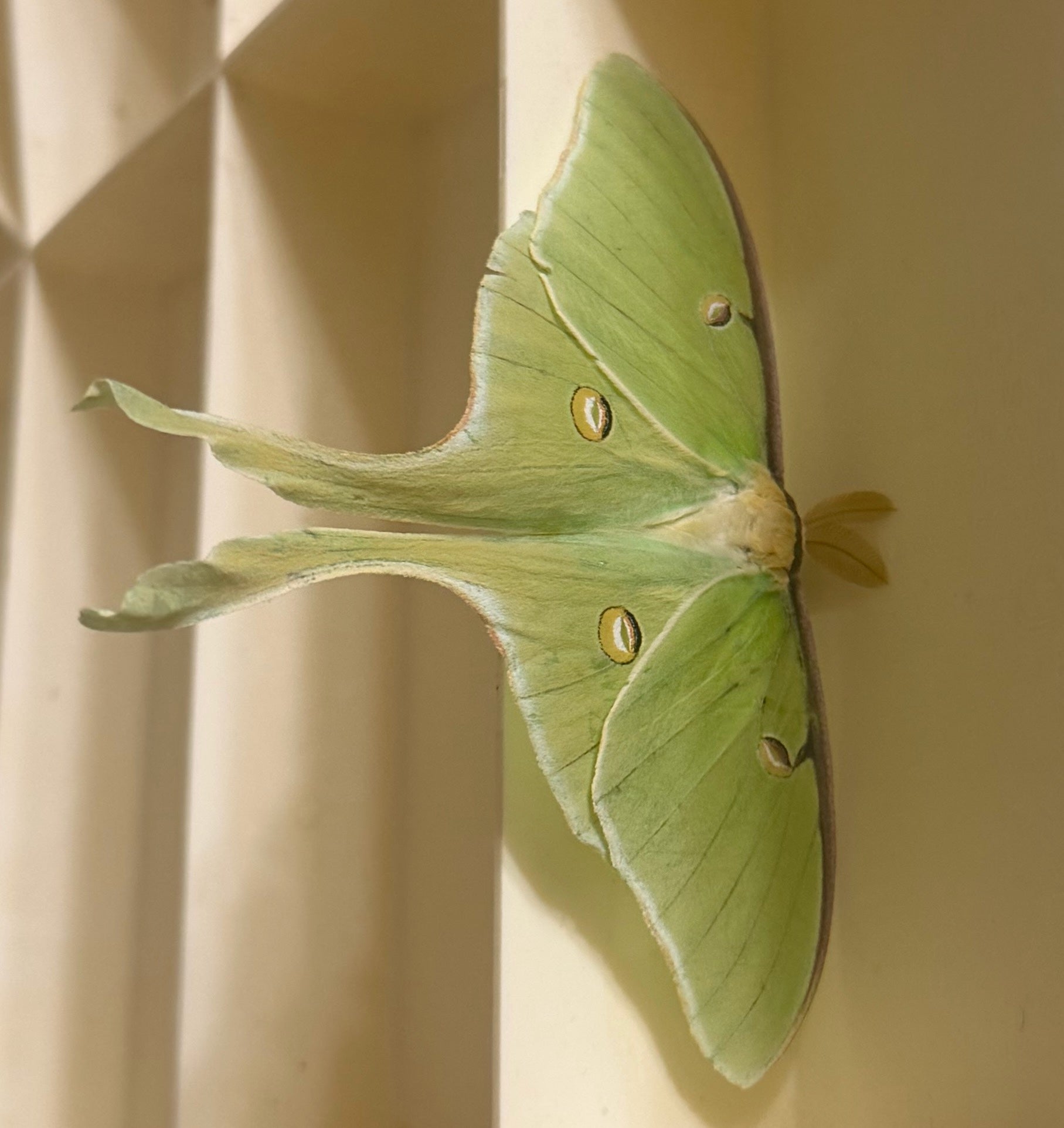 Nature photos
